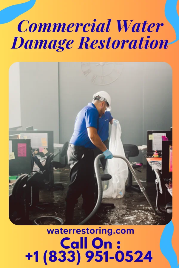 Commercial Water Damage Restoration in Flanagan, IL