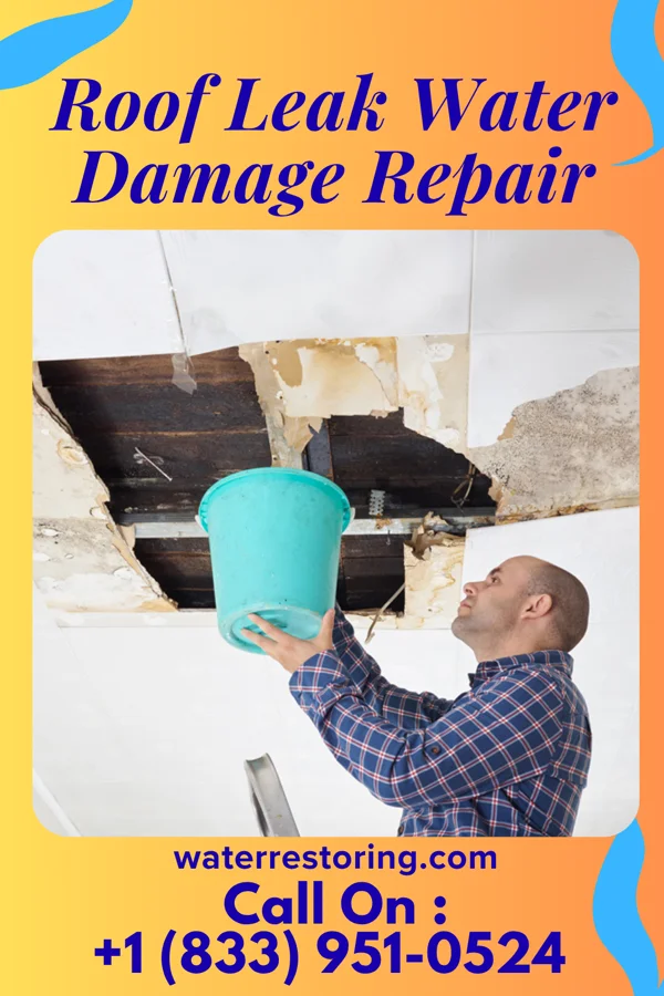 Roof Leak Water Damage Repair in Flanagan, IL