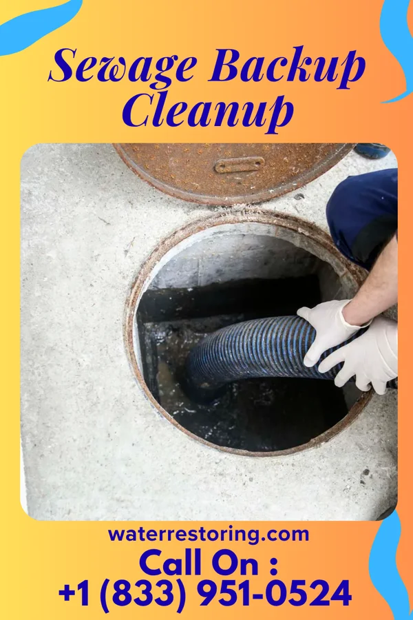 Sewage Backup Cleanup in Flanagan, IL